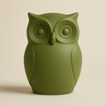 Hoo’s Watching